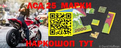 apvp Аша