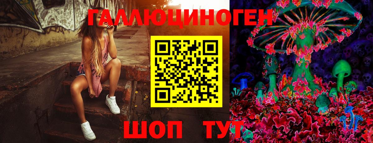 Псилоцибиновые грибы Cubensis Ухта